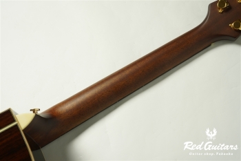 F130-GA Sitka Spruce / Indian Rosewood